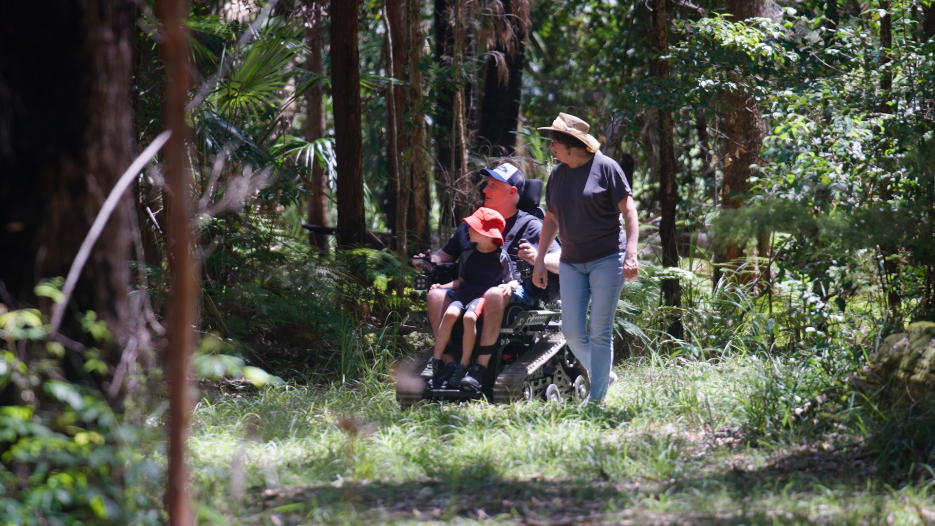 Bachelor Forest Lodge Accessible forest trail at Bachelor Forest Lodge in Wootton NSW